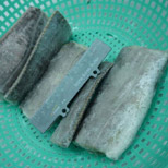 Ribbon Fish