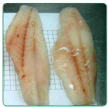 Grouper fillets