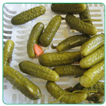 Pickle Baby cucumber
