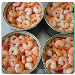 Shrimp Tiny