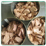 Tuna Skj chunk in brine